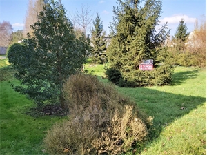 terrain à la vente -   78610  SAINT LEGER EN YVELINES, surface 501 m2 vente terrain - UBI438805274